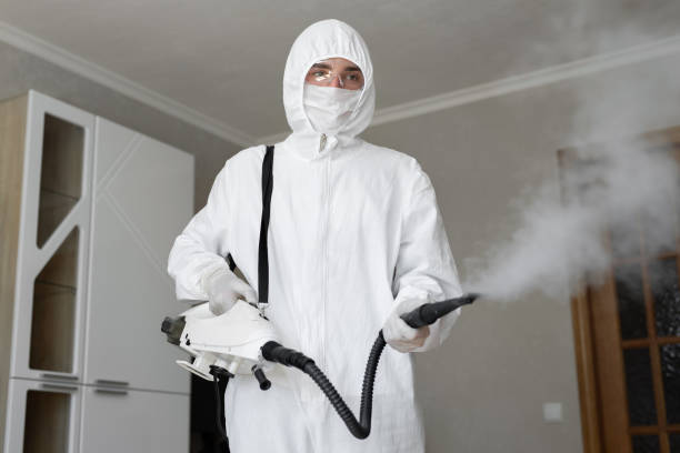 Best Mold Odor Removal Services  in Snohomish, WA